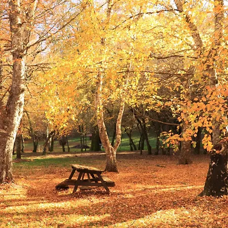 Casa Do Boco Ferienhaus *