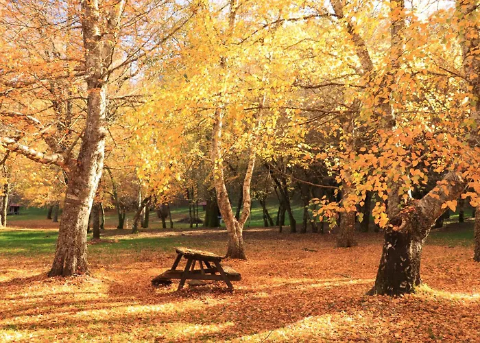 Casa Do Boco Casa de Férias *